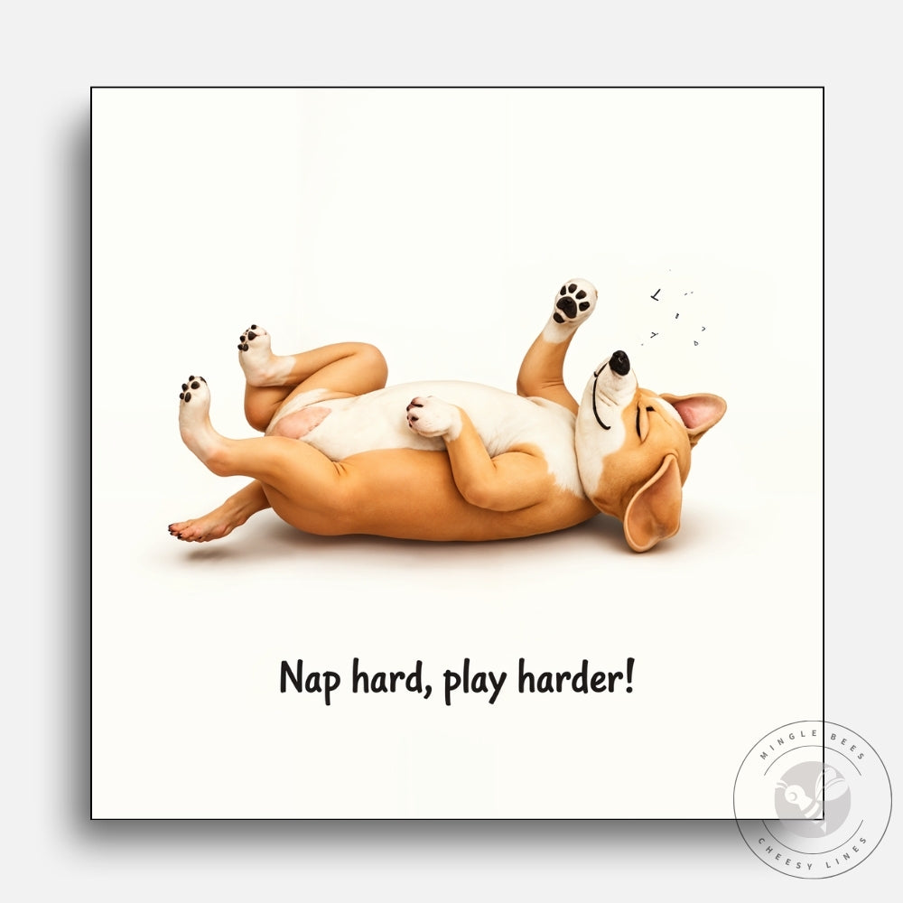 Nap Hard, Play Harder