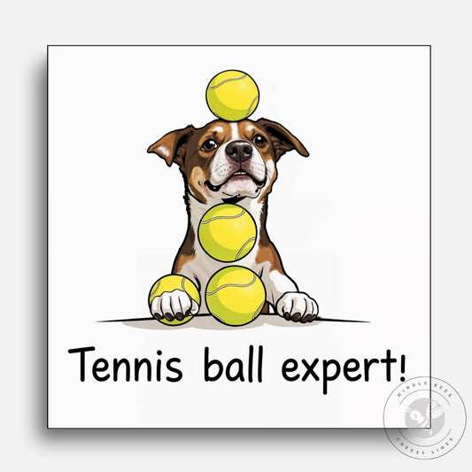 Tennis Ball Expert