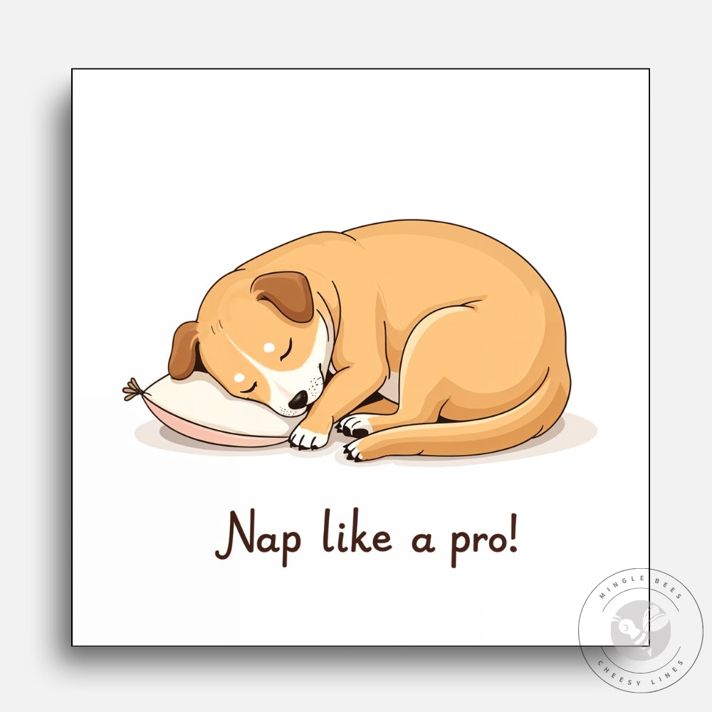 Nap Like a Pro!