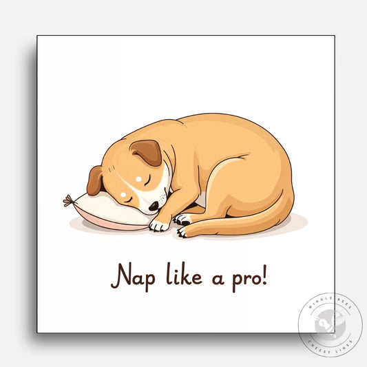 Nap Like a Pro!