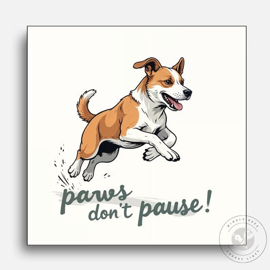 Paws Don’t Pause