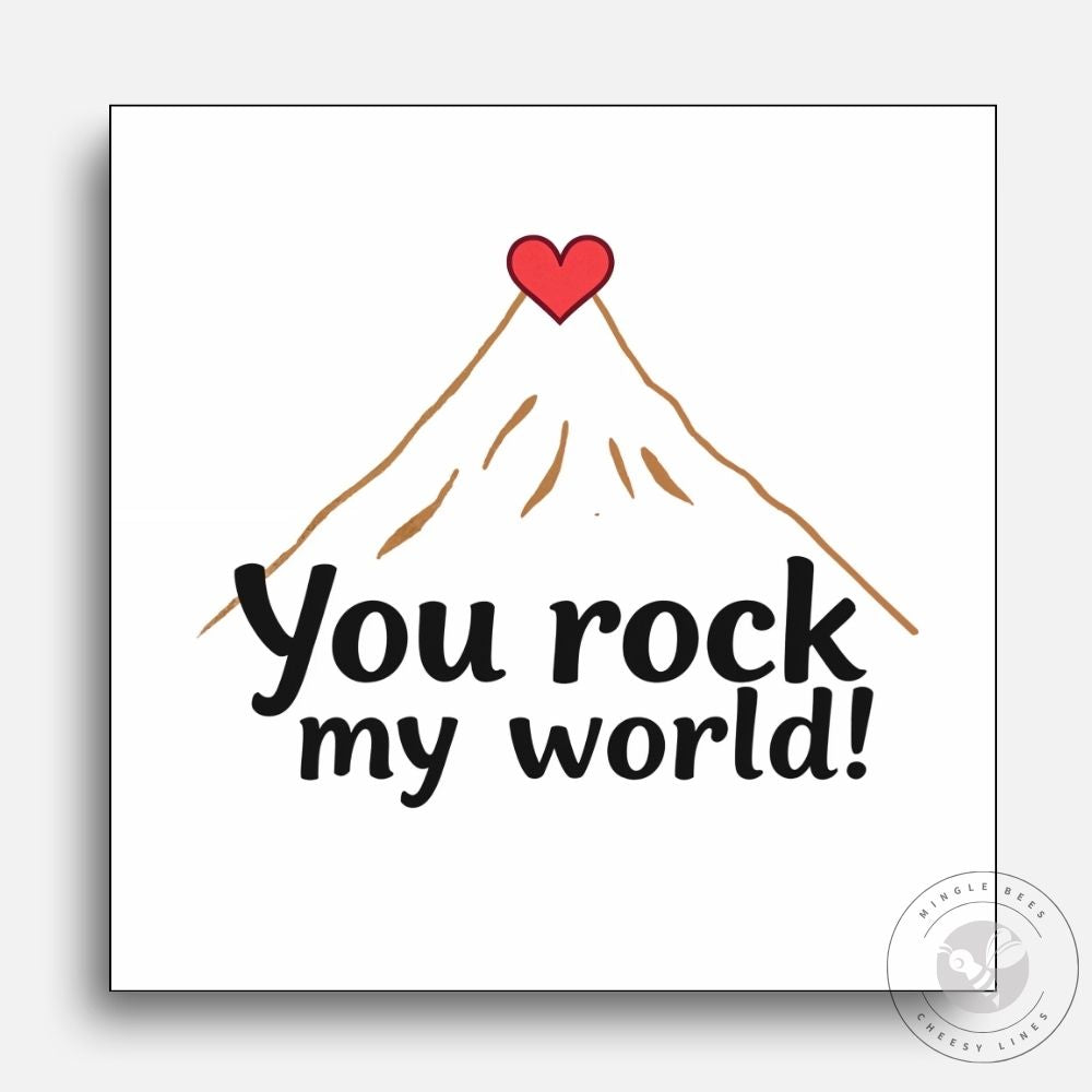 You Rock My World