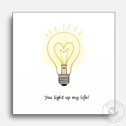 You Light Up My Life