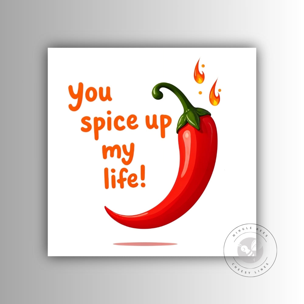 You Spice Up My Life