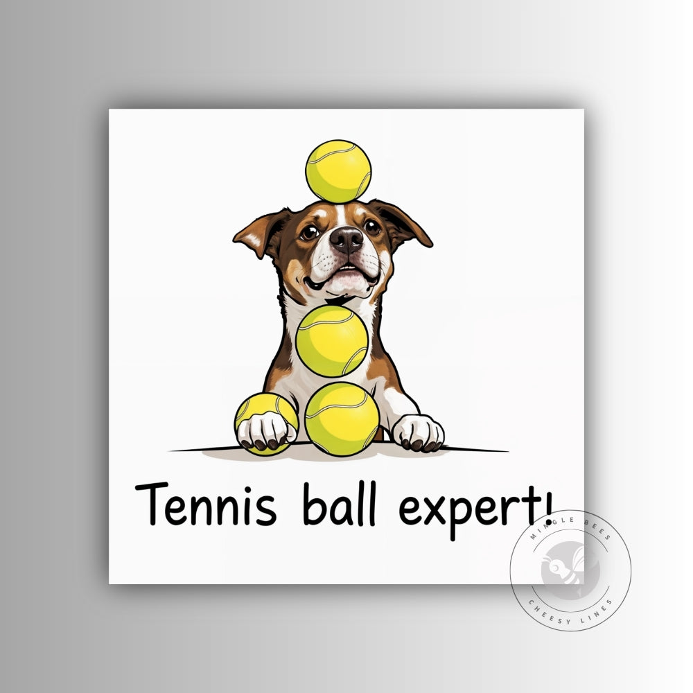 Tennis Ball Expert