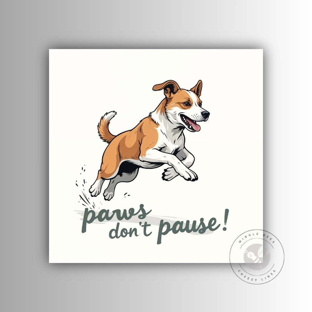 Paws Don’t Pause