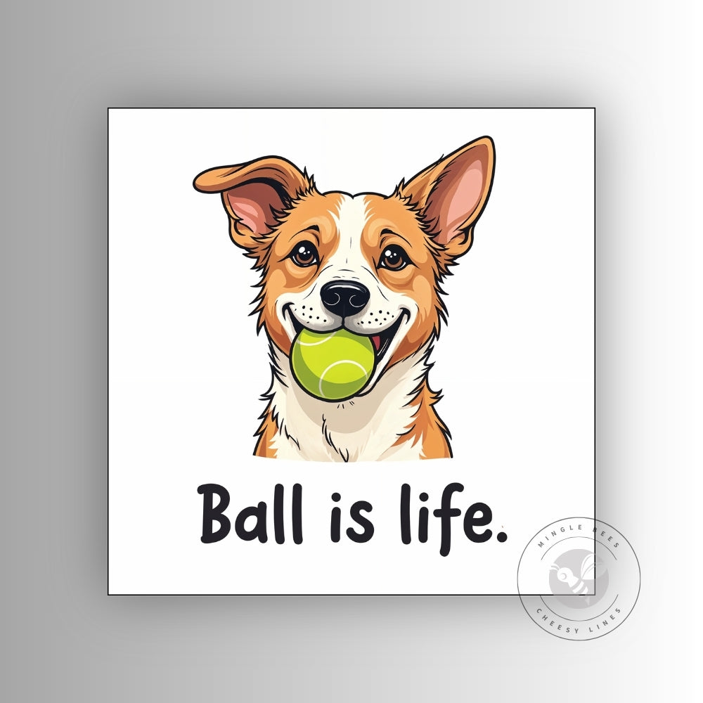 Ball is Life