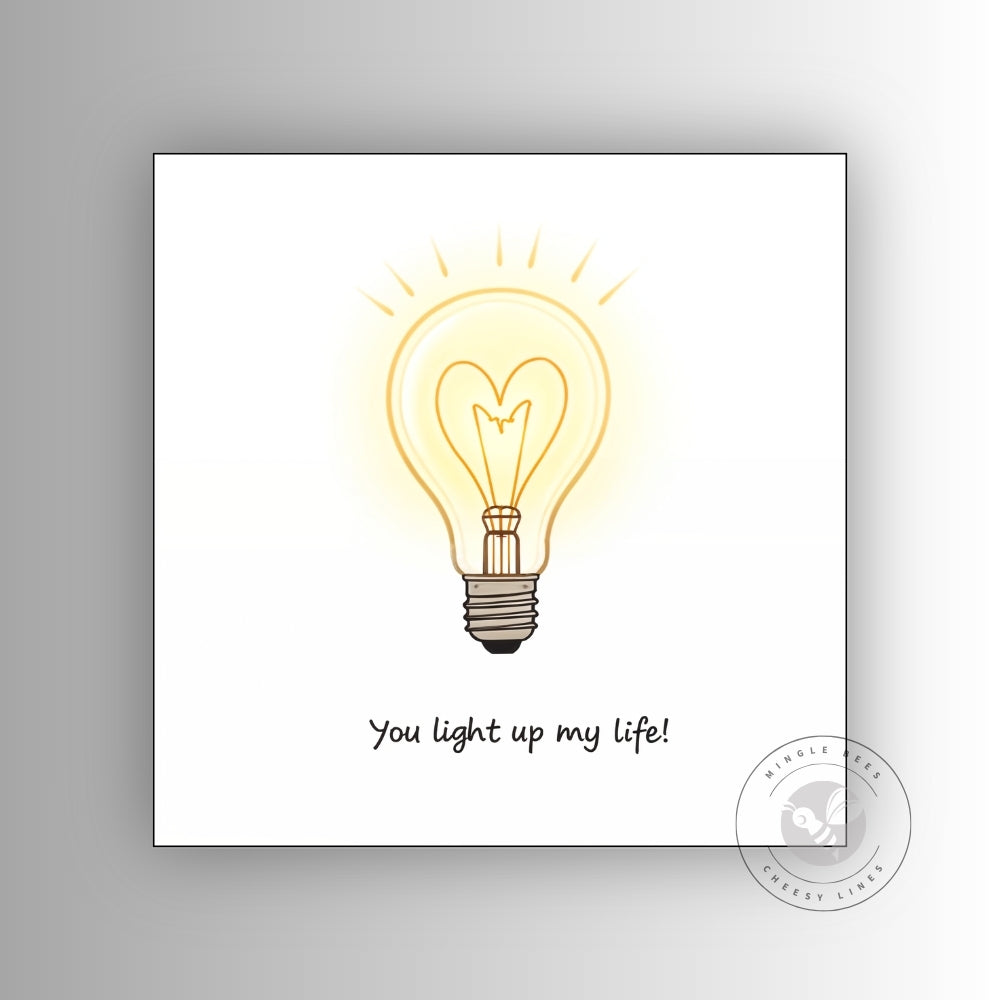 You Light Up My Life