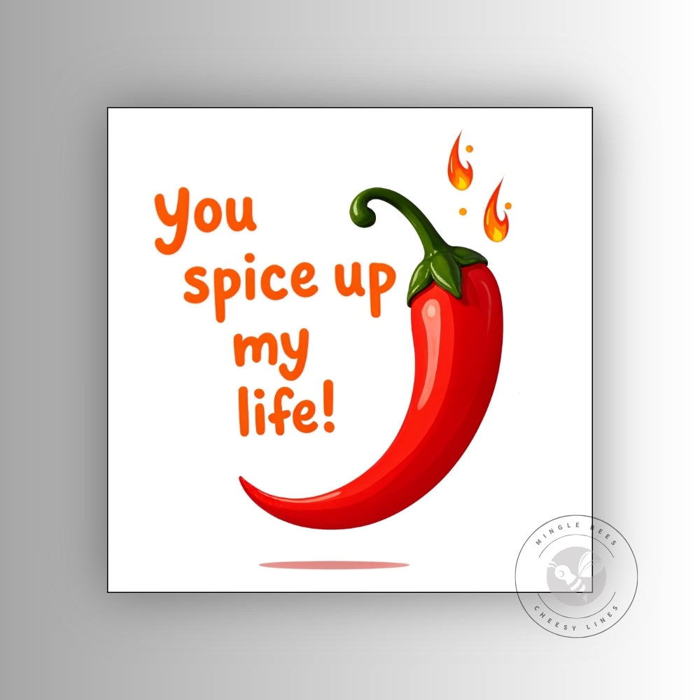 You Spice Up My Life